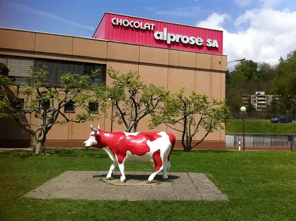 رحلة الأحلام الحلوة: مصنع شوكولاتة آلبا روز بانتظاركم!